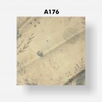 A176