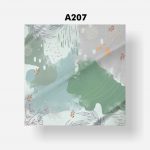 A207