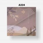 A224