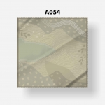 A54