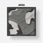 A56