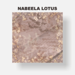 Nabeela Lotus